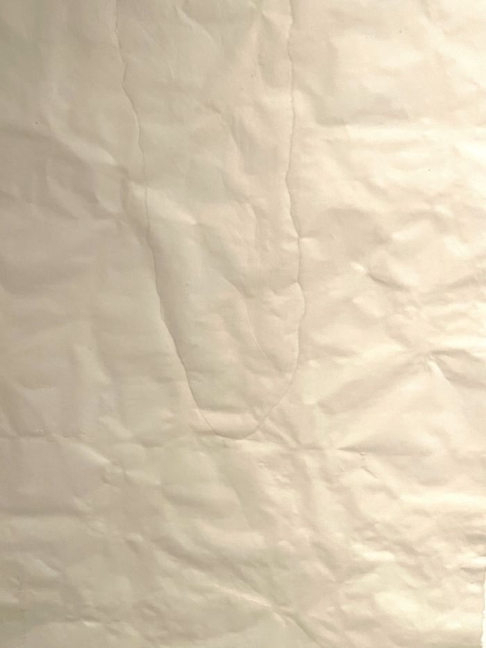 白髪富士子 《無題》 1955 部分 photo by APT