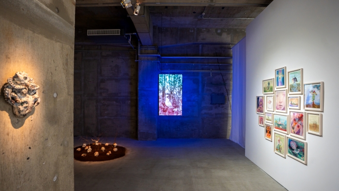 大小島真木 個展「渦き Resonant Wounds」展示風景、ANOMALY、東京、2026 ©︎Maki Ohkojima 撮影：坂本麻人