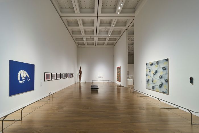 「テート美術館 ― YBA & BEYOND　世界を変えた90s英国アート」国立新美術館、2026年、展示風景（第4章 現代医学）