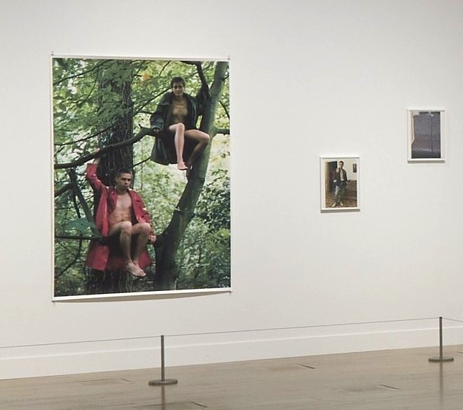 「テート美術館 ― YBA & BEYOND　世界を変えた90s英国アート」国立新美術館、2026年、展示風景 
（左の作品、ヴォルフガング・ティルマンス《木に座るルッツとアレックス》1992年、テート美術館蔵）
